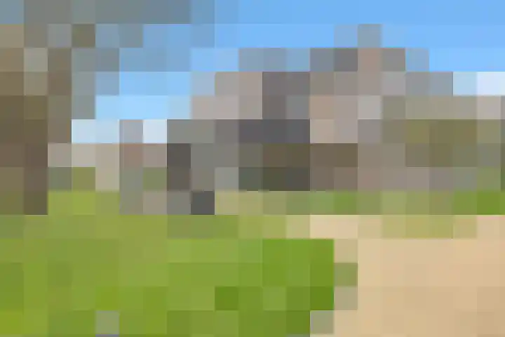 Blauwe Berg 19 J Hoorn thumbnail 5