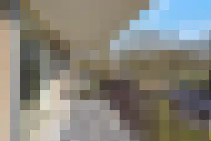 Blauwe Berg 21 G Hoorn thumbnail 32