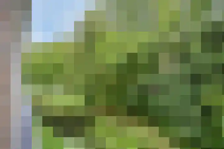 Blauwe Berg 21 M Hoorn thumbnail 22