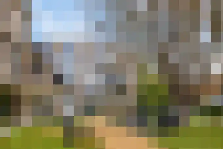 Blauwe Berg 21 M Hoorn thumbnail 5