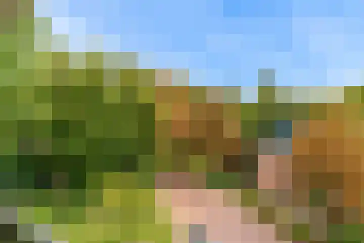 Blauwe Berg 21 N Hoorn thumbnail 21