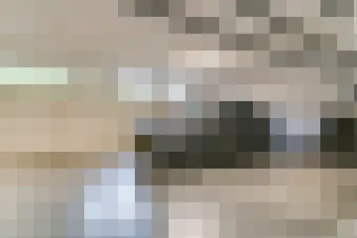 Blauwe Berg 21 N Hoorn thumbnail 24