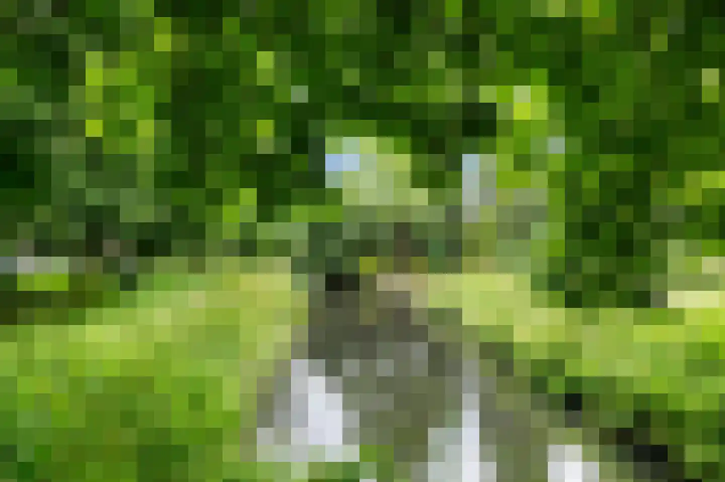 Blauwe Berg 23 B Hoorn thumbnail 31