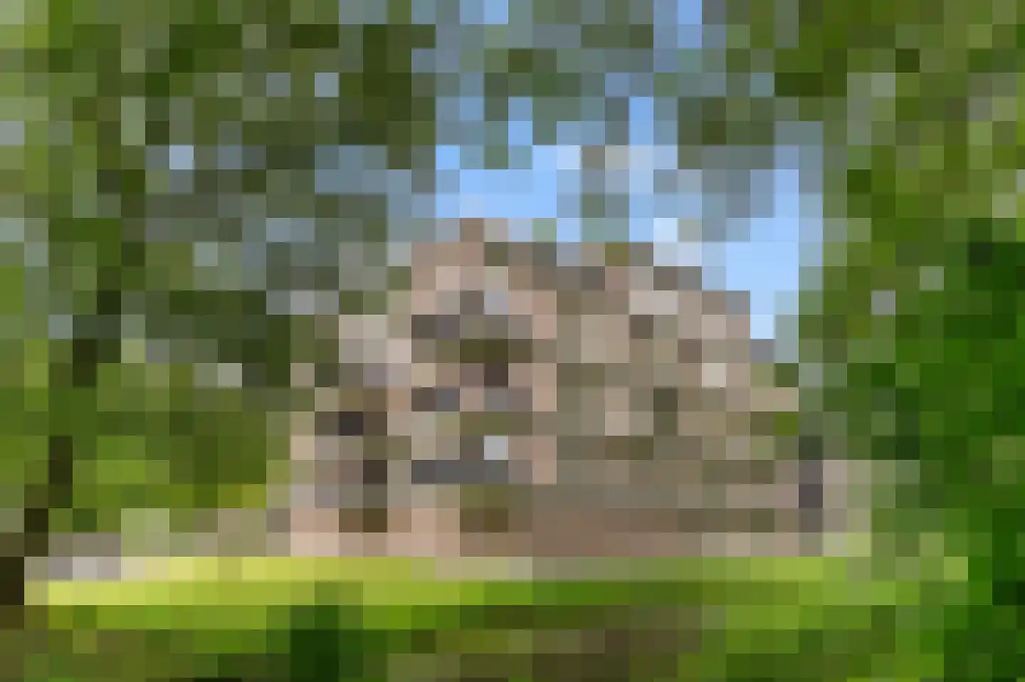Blauwe Berg 23 B Hoorn thumbnail 32
