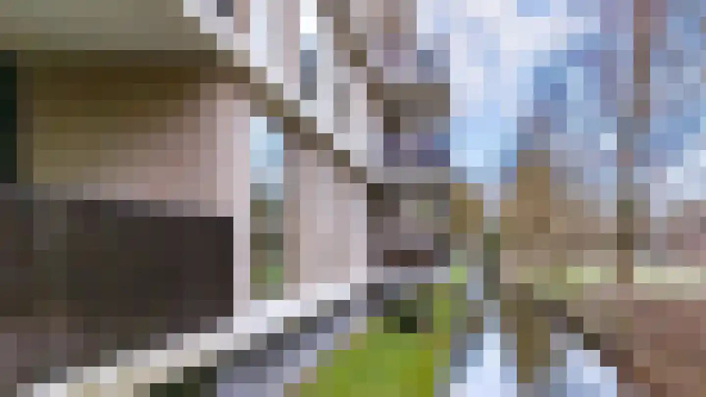 Blauwe Berg 5 006 Hoorn thumbnail 33