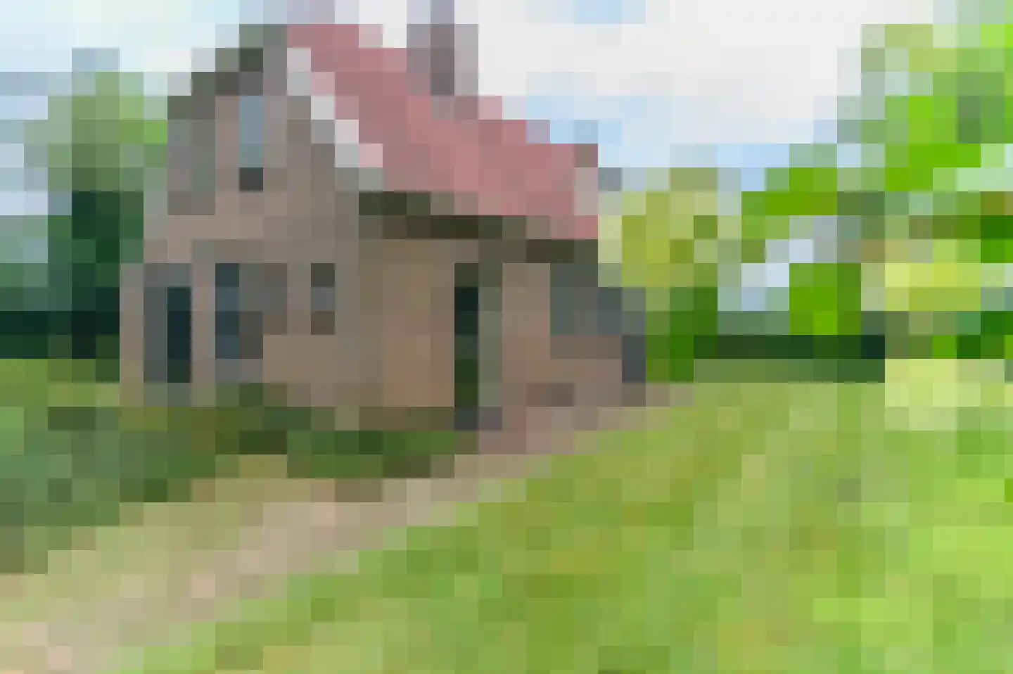 Blauwe Bos 2 Haule thumbnail 11