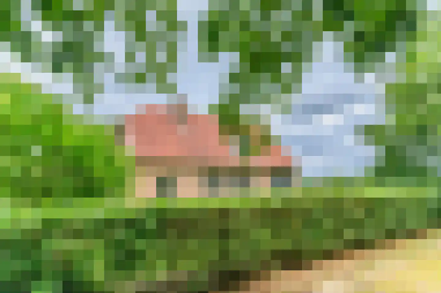 Blauwe Bos 2 Haule thumbnail 12