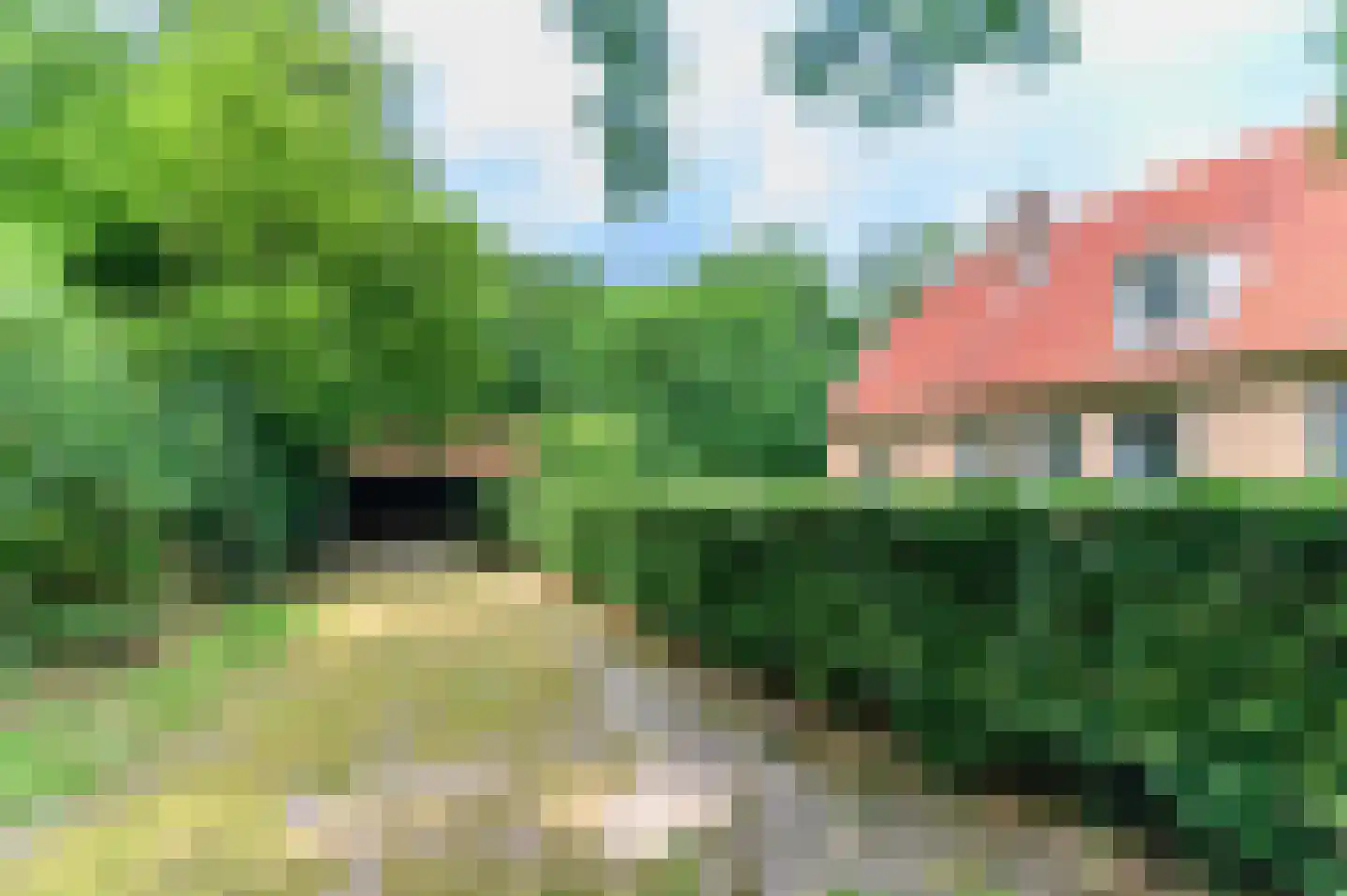 Blauwe Bos 2 Haule thumbnail 14