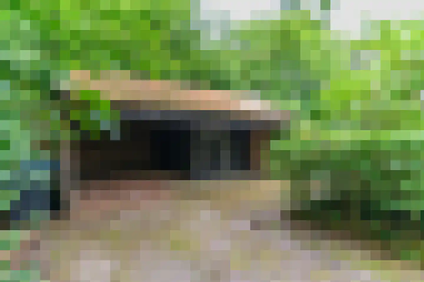 Blauwe Bos 2 Haule thumbnail 16