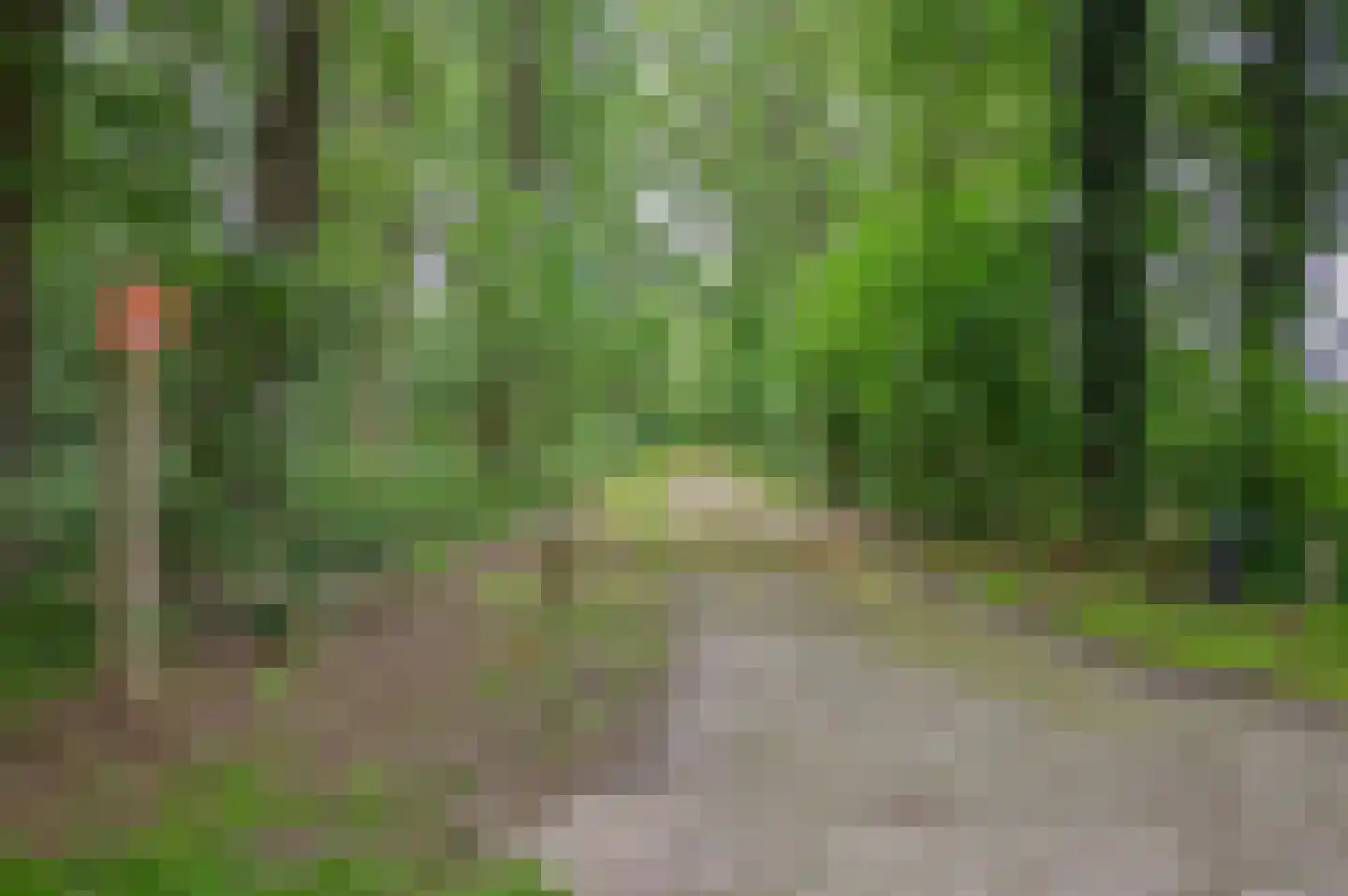 Blauwe Bos 2 Haule thumbnail 17