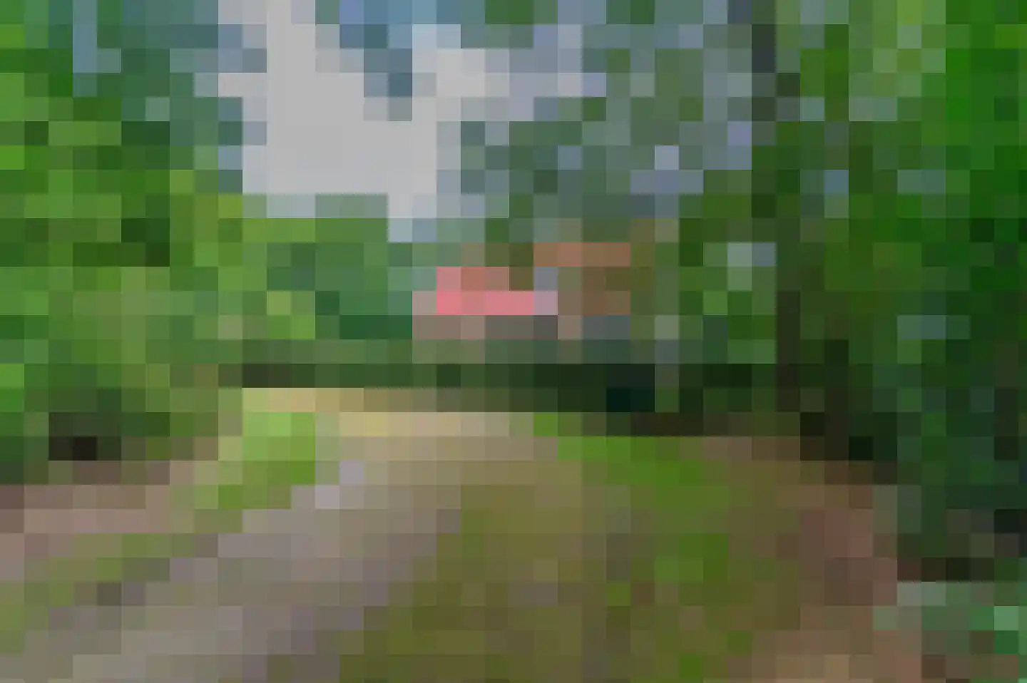 Blauwe Bos 2 Haule thumbnail 18