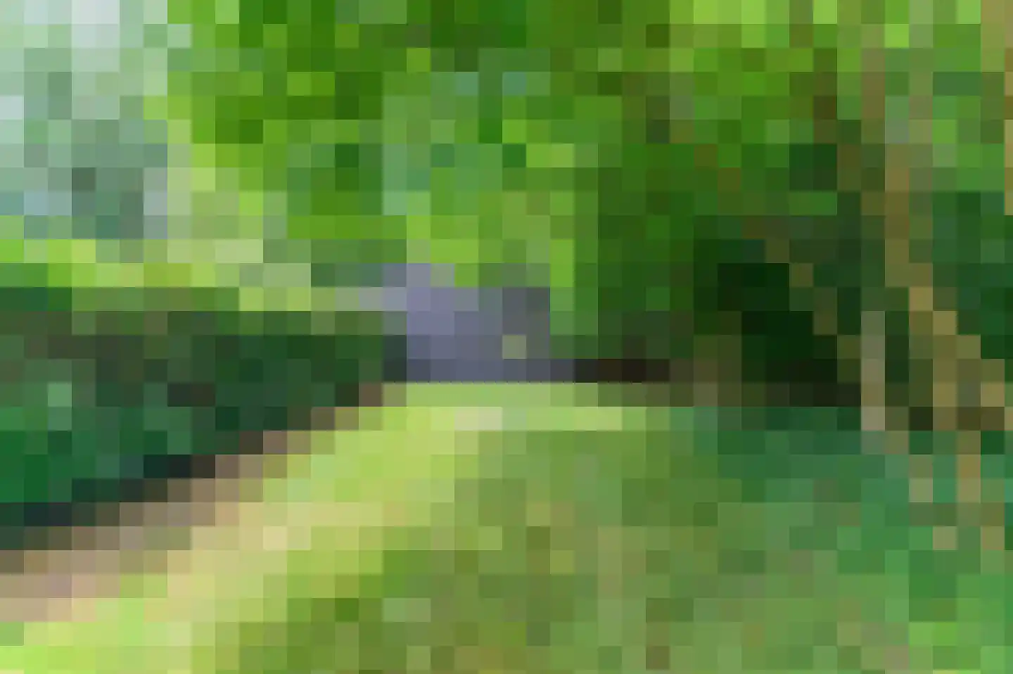 Blauwe Bos 2 Haule thumbnail 19