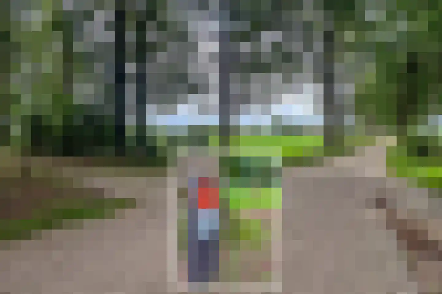 Blauwe Bos 2 Haule thumbnail 21