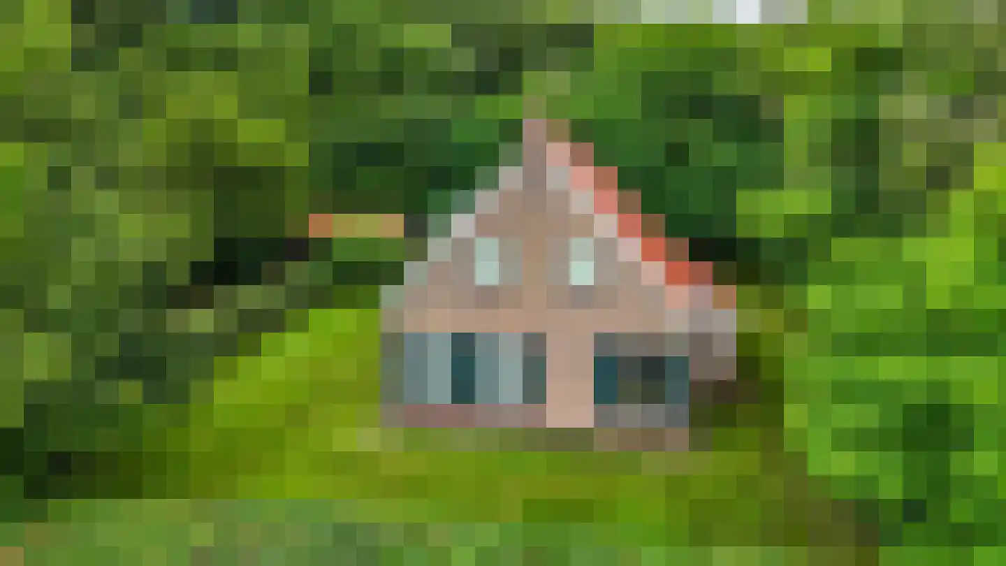 Blauwe Bos 2 Haule thumbnail 22
