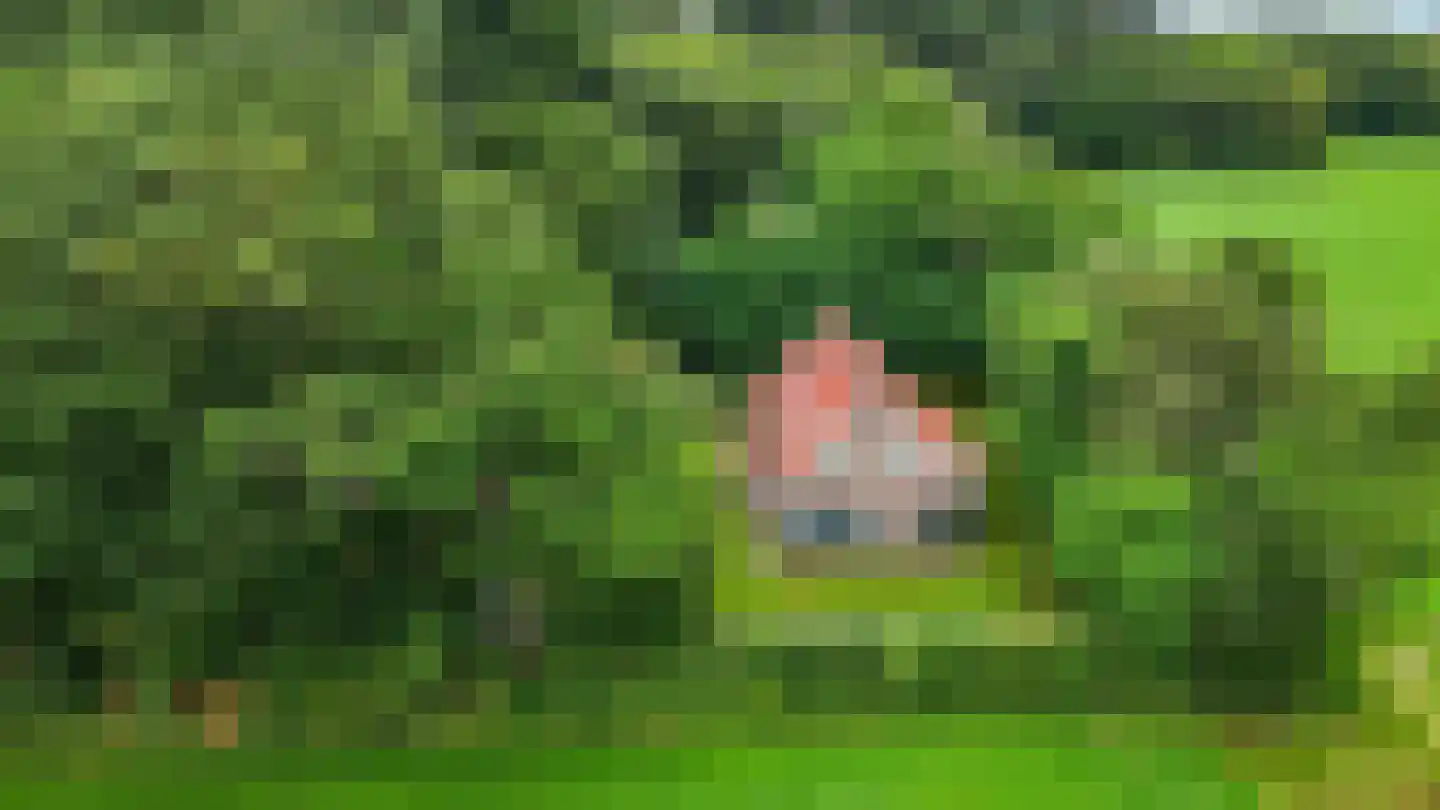 Blauwe Bos 2 Haule thumbnail 23
