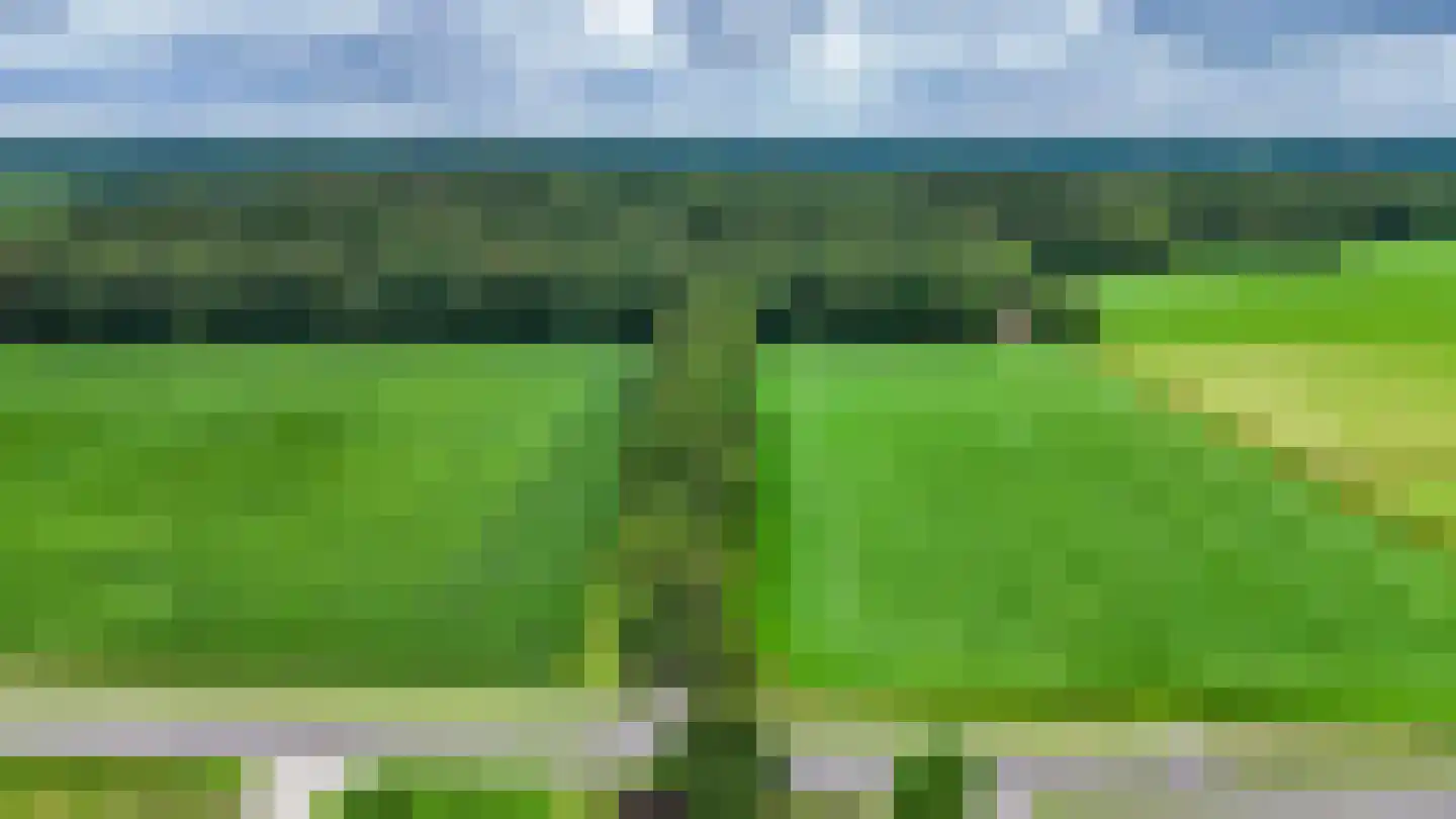 Blauwe Bos 2 Haule thumbnail 25