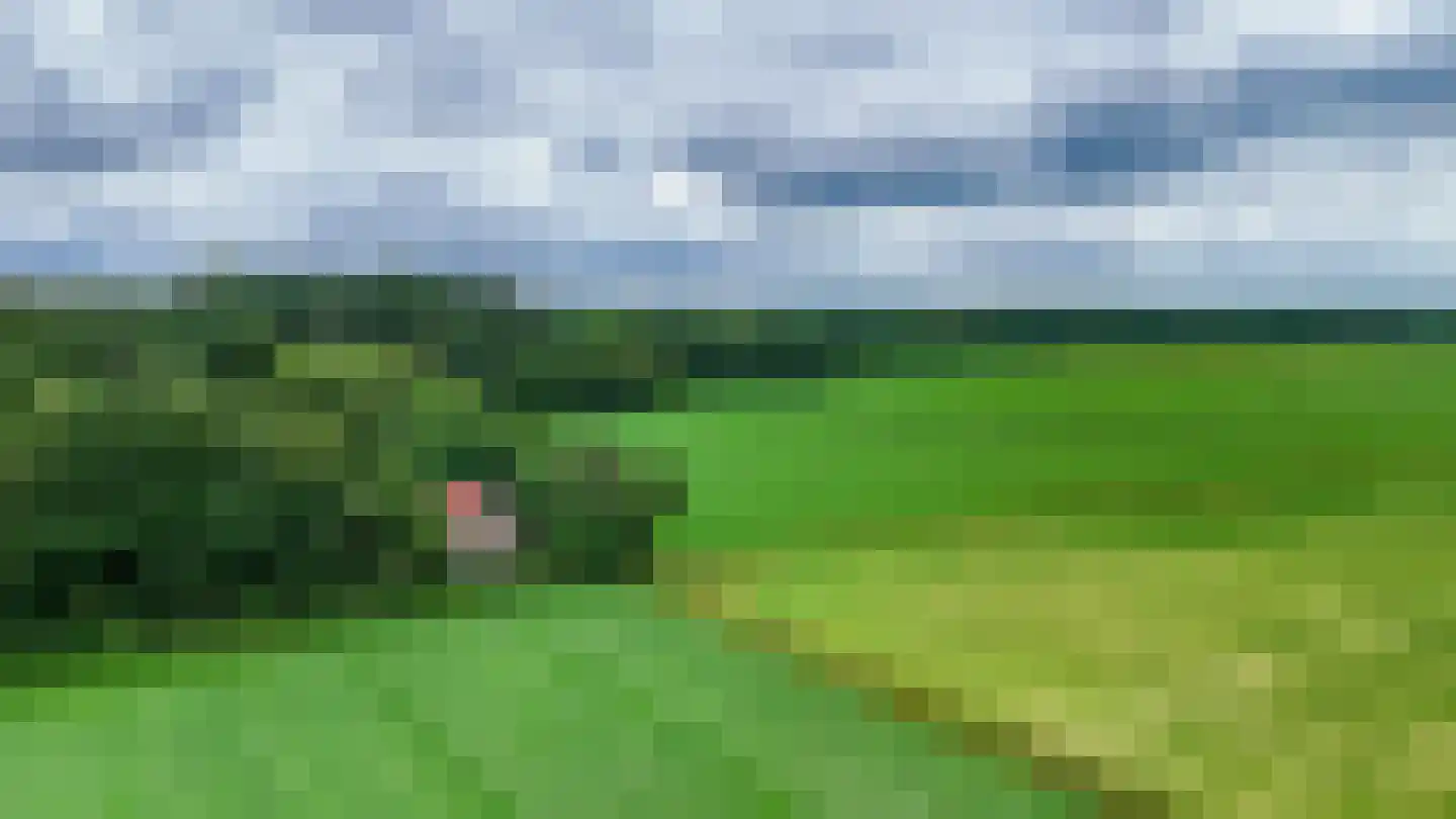 Blauwe Bos 2 Haule thumbnail 26