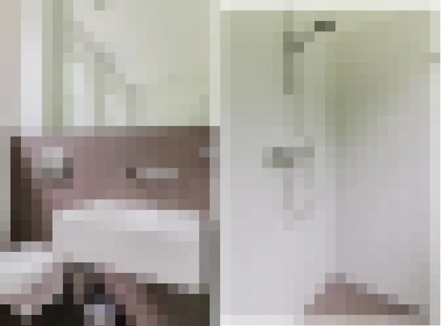 Blauwe Bos 2 Haule thumbnail 44