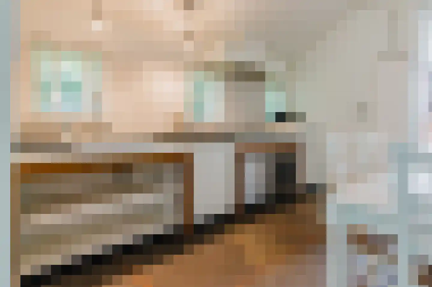 Blauwe Bos 2 Haule thumbnail 5