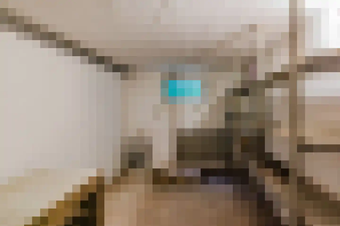 Blauwe Bos 2 Haule thumbnail 61