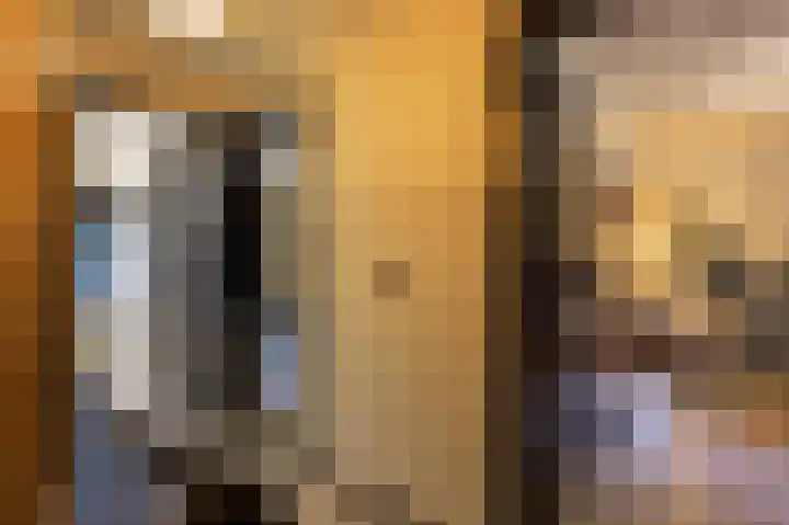 Blauwe Distelstraat 22 Goedereede thumbnail 21