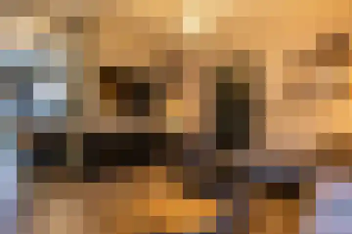 Blauwe Distelstraat 22 Goedereede thumbnail 4