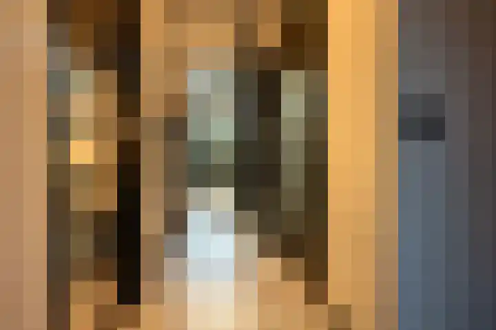 Blauwe Distelstraat 22 Goedereede thumbnail 7