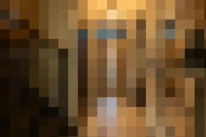 Blauwe Distelstraat 22 Goedereede thumbnail 8