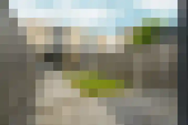 Blauwe Druifjesstraat 18 Almere thumbnail 33