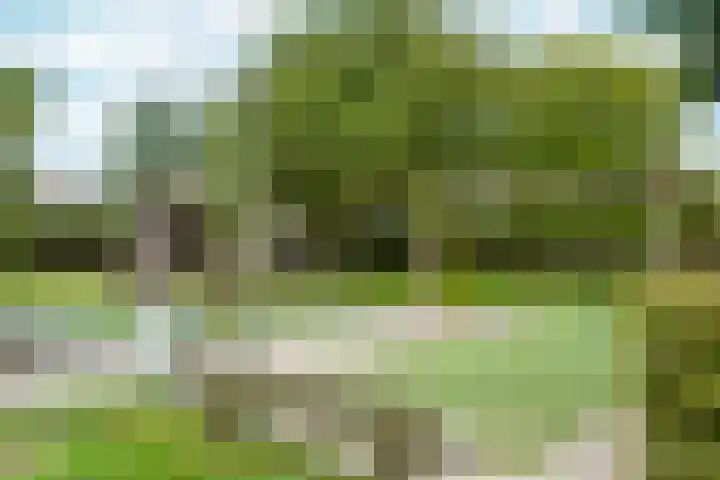 Blauwe Druifjesstraat 18 Almere thumbnail 37