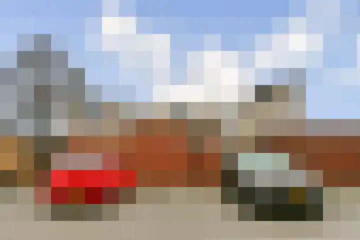 Blauwe Druifjesstraat 26 Almere thumbnail 27