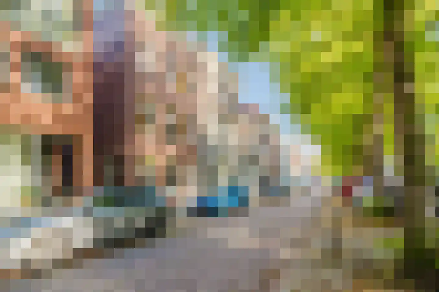 Blauwe Haansteeg 19 Gorinchem thumbnail 20