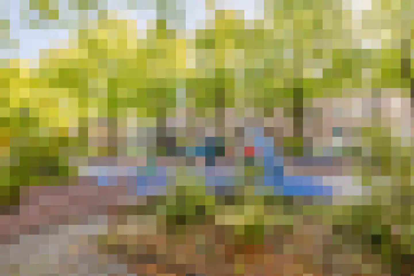 Blauwe Haansteeg 19 Gorinchem thumbnail 21