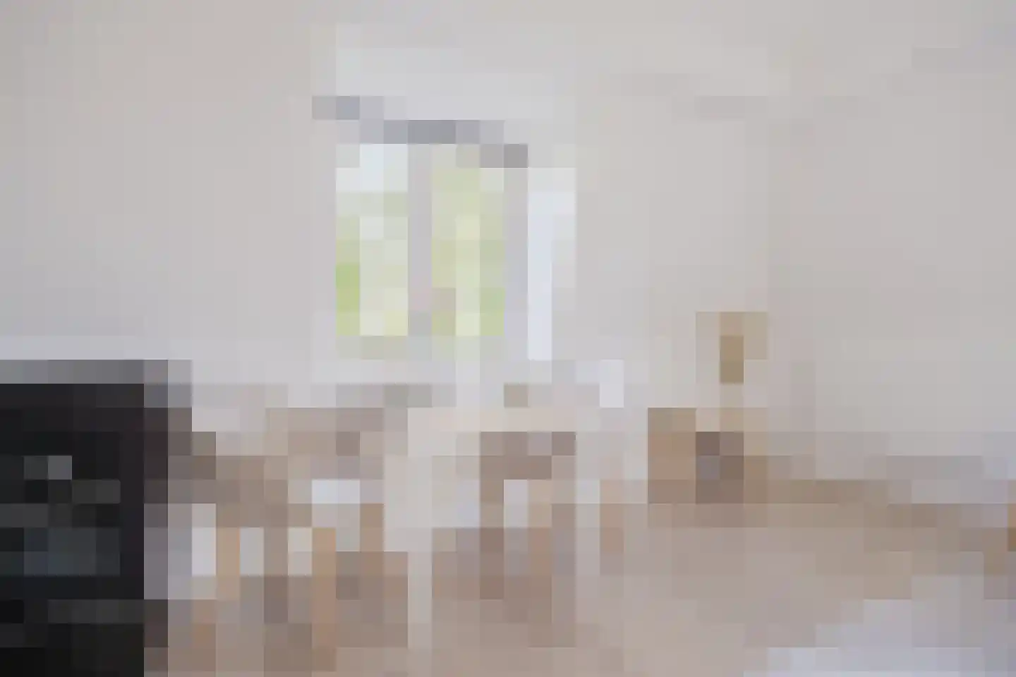 Blauwe Haansteeg 19 Gorinchem thumbnail 8