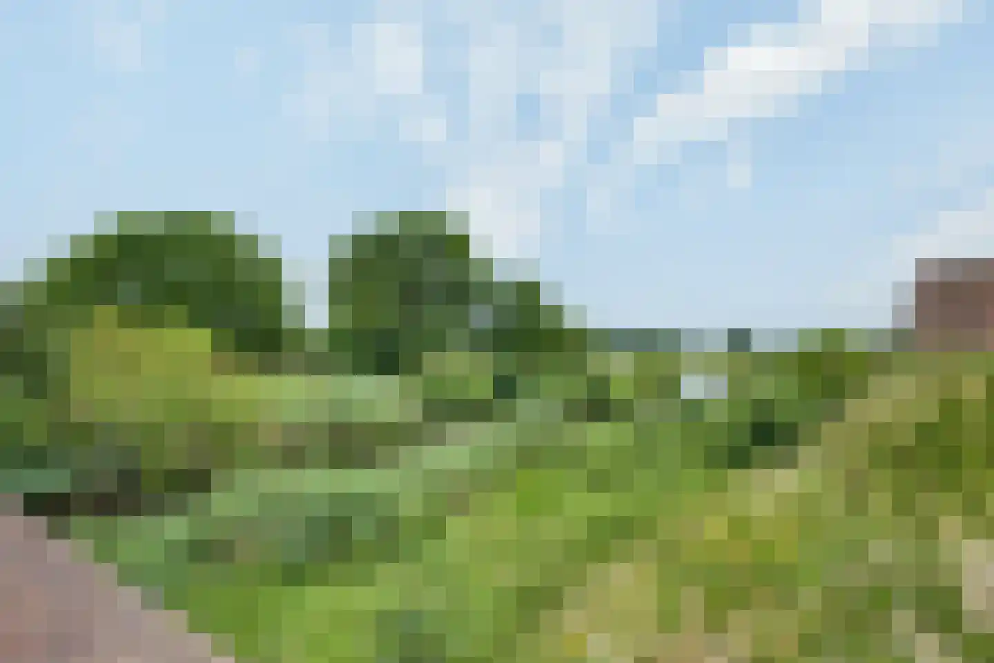 Blauwe Haansteeg 3 Gorinchem thumbnail 30
