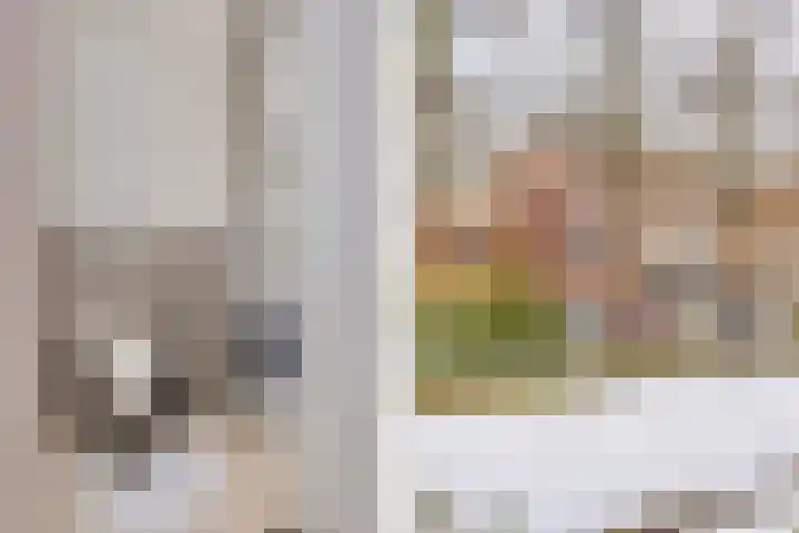 Blauwe Haansteeg 7 Gorinchem thumbnail 7