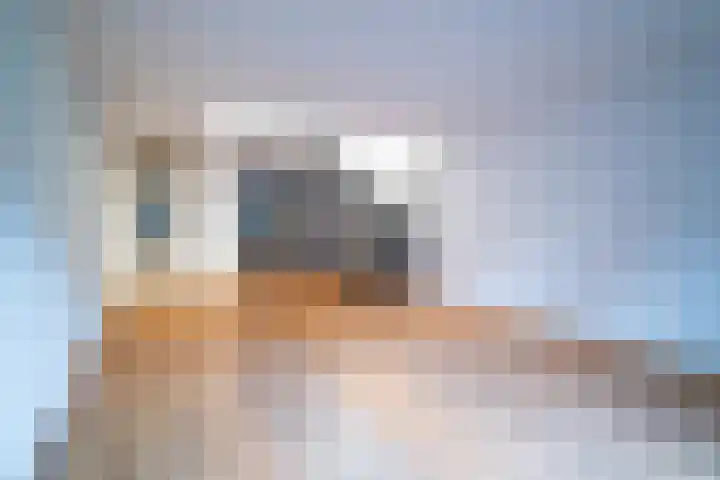 Blauwe Haansteeg 8 Gorinchem thumbnail 20