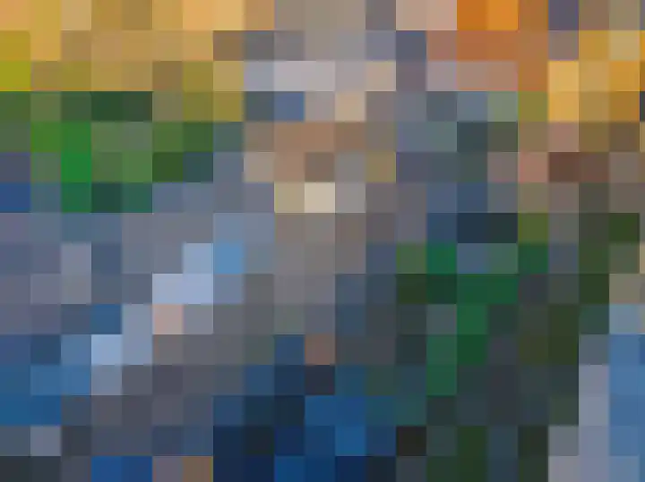Blauwe Haansteeg 8 Gorinchem thumbnail 5
