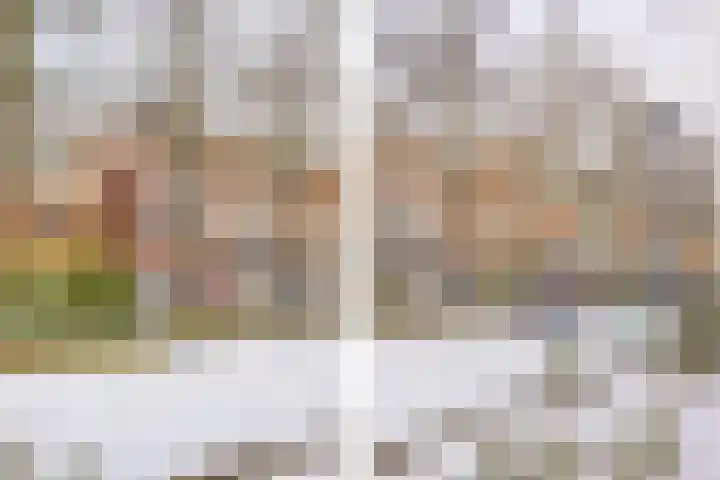 Blauwe Haansteeg 9 Gorinchem thumbnail 15