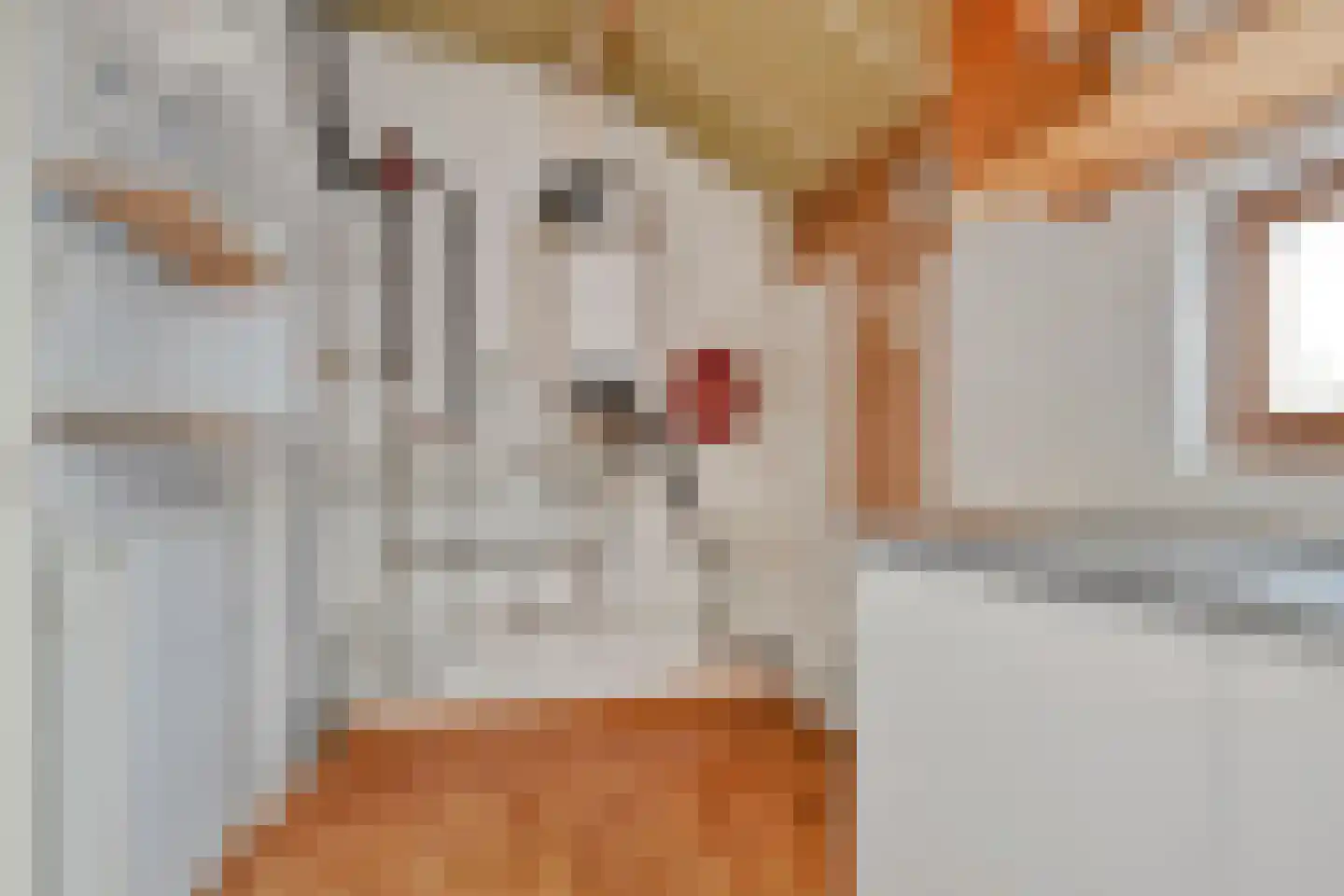 Blauwe Hoefsweg 13 Klundert thumbnail 22