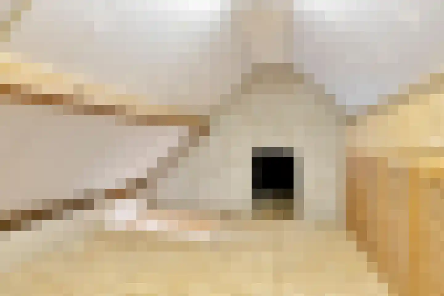 Blauwe Hoefsweg 13 Klundert thumbnail 37