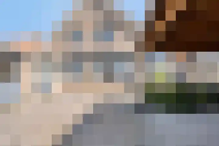 Blauwe Hoefsweg 17 Klundert thumbnail 31
