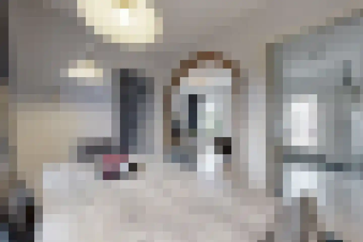 Blauwe Hoefsweg 4 Klundert thumbnail 11