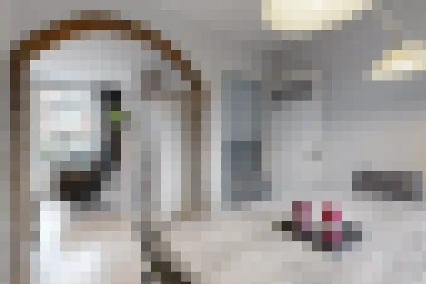 Blauwe Hoefsweg 4 Klundert thumbnail 12