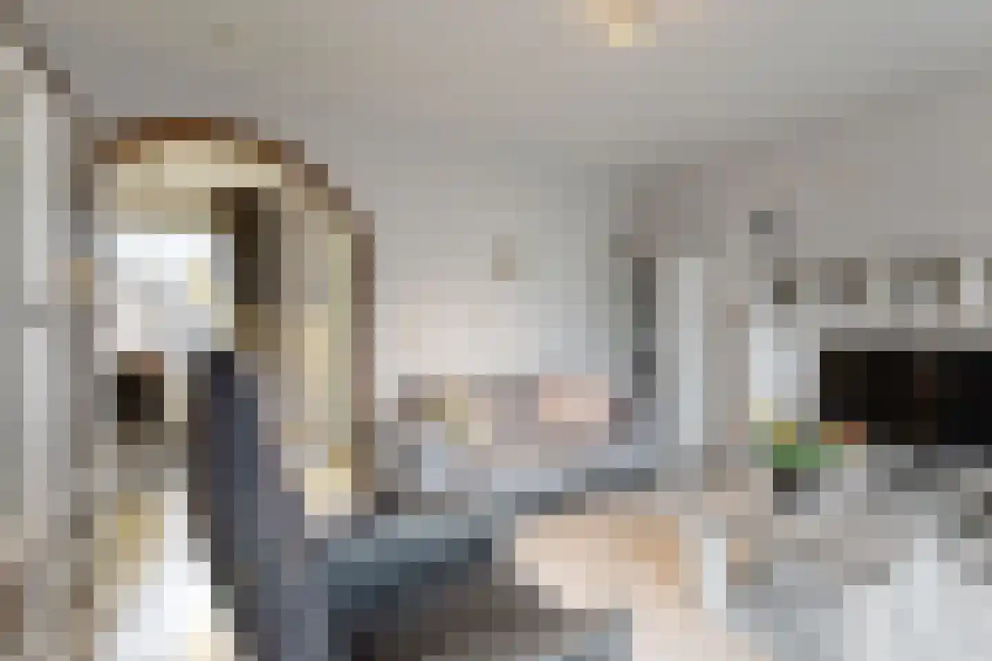 Blauwe Hoefsweg 4 Klundert thumbnail 14
