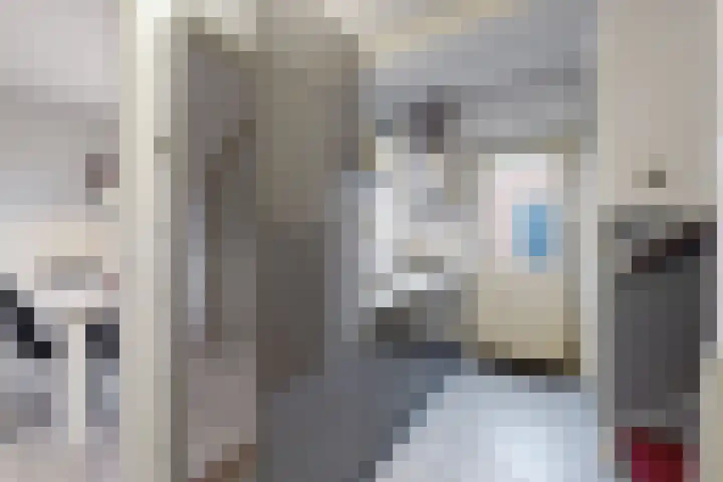 Blauwe Hoefsweg 4 Klundert foto 3