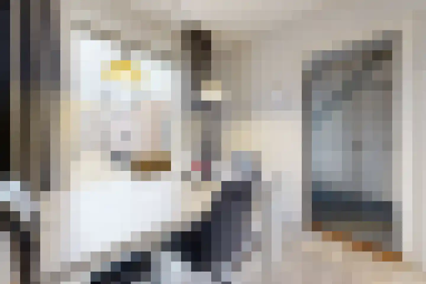 Blauwe Hoefsweg 4 Klundert thumbnail 9
