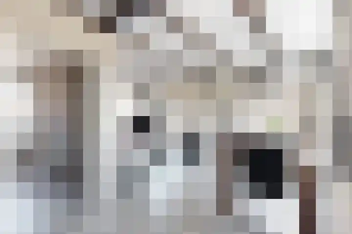 Blauwe Hoefsweg 6 Klundert thumbnail 10