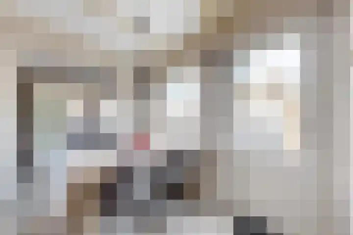 Blauwe Hoefsweg 6 Klundert thumbnail 21