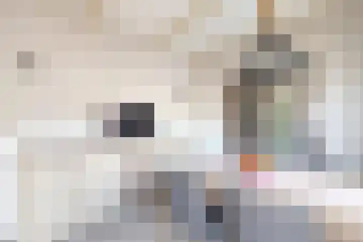 Blauwe Hoefsweg 6 Klundert thumbnail 22